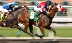 shutterstock_48025255-1000x600